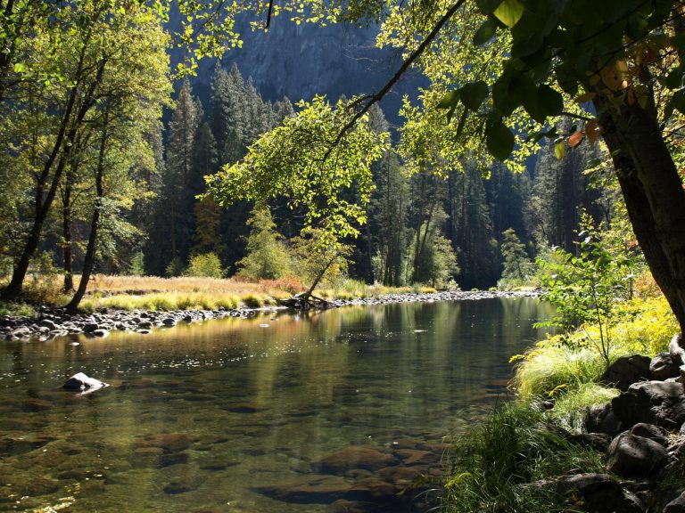 calm river during daytime